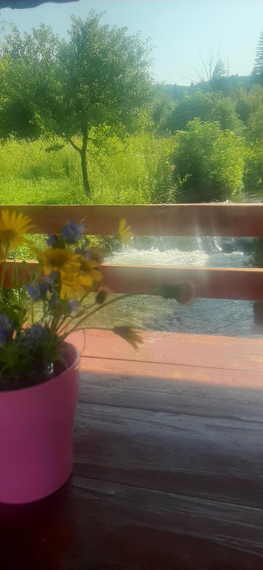 Guest House Mila Plitvicki Ljeskovac Eksteriør bilde